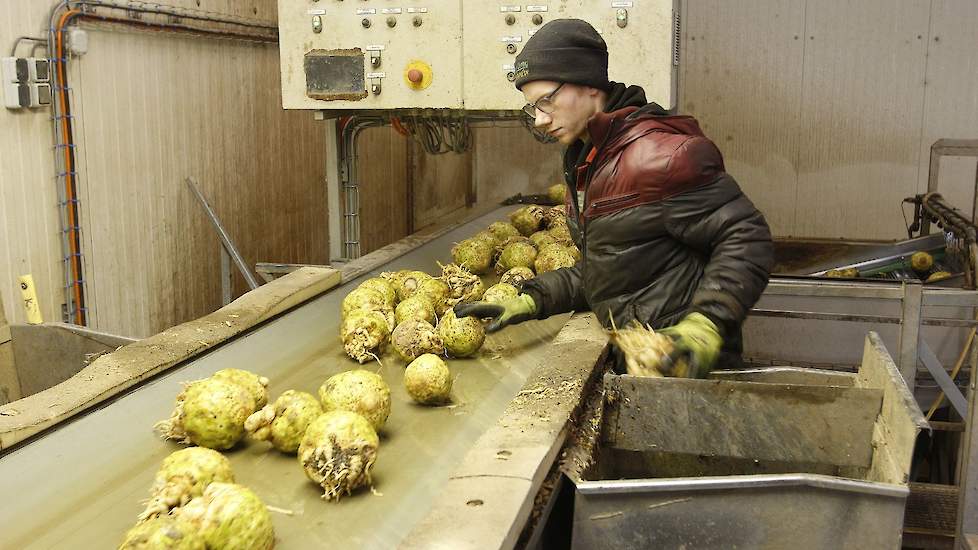 Afhankelijk van de tijd van het jaar gaat Sweep in de teelt en dus ook in de bewaring van het ene ras over naar het andere. „Van de vroege rassen naar de korte bewaar en uiteindelijk naar de lange bewaar. Elk segment heeft zijn eigen teeltmethodes.”