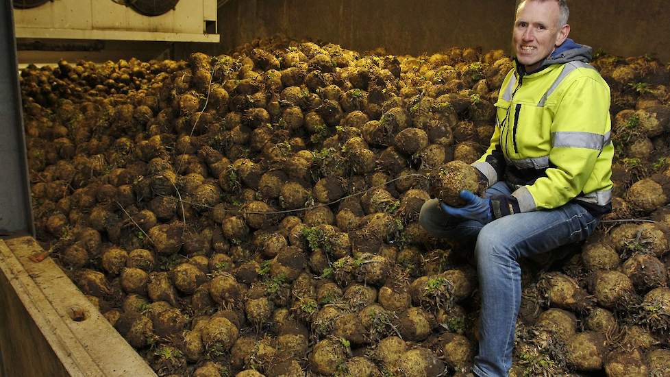 Pierre Sweep (foto): „Alles bij elkaar een areaal van 550 hectare, waarvan 450 in Nederland en 100 hectare in Duitsland. Hierdoor kunnen we ook onze Duitse klanten  twaalf maanden lang beleveren. Die pakken namelijk eerst het Duitse product en gaan daarna