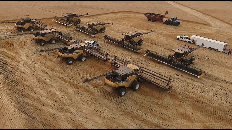 Wheat harvest 2017. Canada.