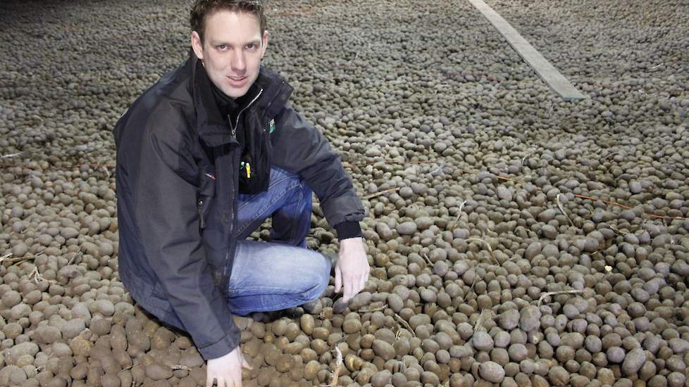 „Ze zijn medio oktober ingeschuurd. Vanwege de droge en hete zomer hebben we ze wat langer laten staan om toch nog zoveel mogelijk nagroei te pakken”, zo laat manager agro Willem de Bruin weten.