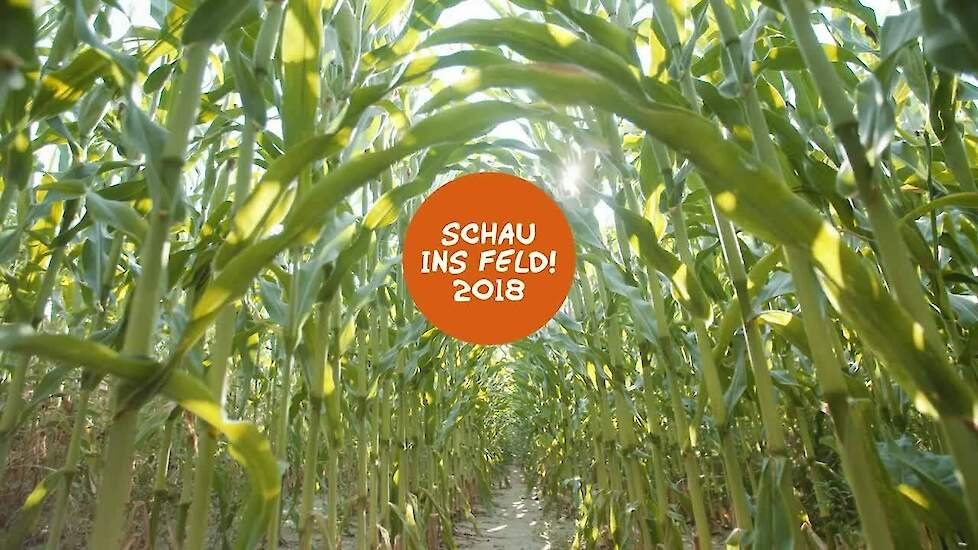 "Schau ins Feld!" 2018