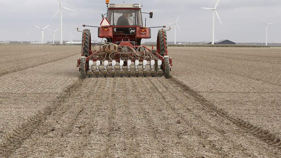 Van Elderen: „Dit ras Hyfive telen we al vier jaar. De planten hebben een goede beworteling, het zijn harde uien met een hoog gehalte droge stof en ze zijn weinig gevoelig voor kaal.” Horring en Van Elderen zijn voor wat de uien een samenwerking aan gegaa