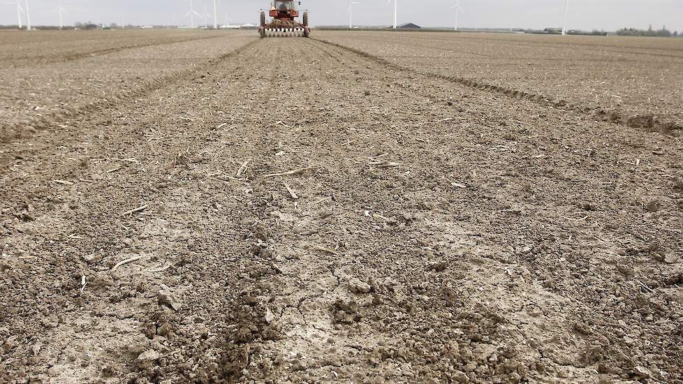 De uien zijn dit jaar volgens Van Elderen rond de normale tijd gezaaid. „De grond is met de rotoreg klaargemaakt en ligt er goed bij.”