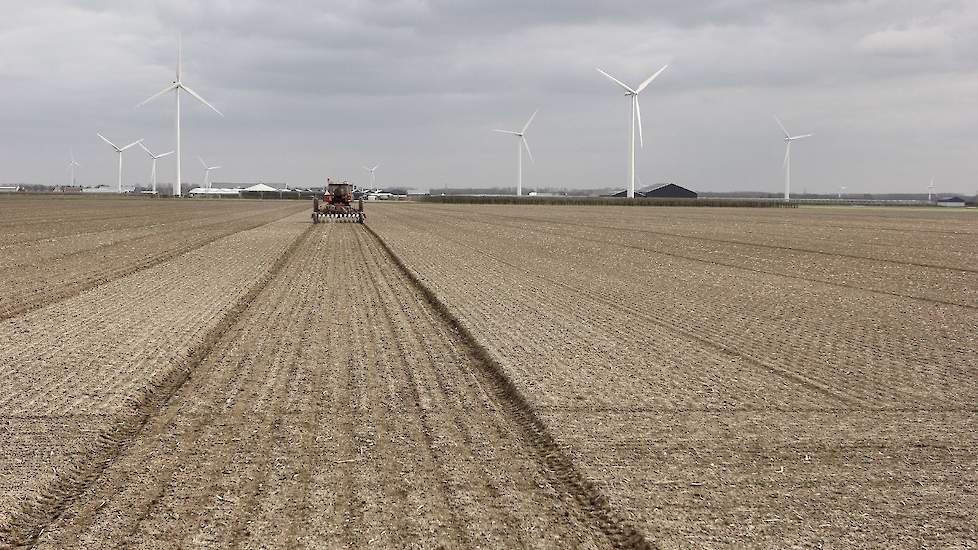 Over de uienteelt van afgelopen jaar is Van Elderen ondanks de droogte en veel extra werk met beregenen wel tevreden. „De opbrengst is wel 30 procent minder geweest. De uien hadden we grotendeels vrij en deze zijn allemaal al weg. Met deze prijzen mag afg