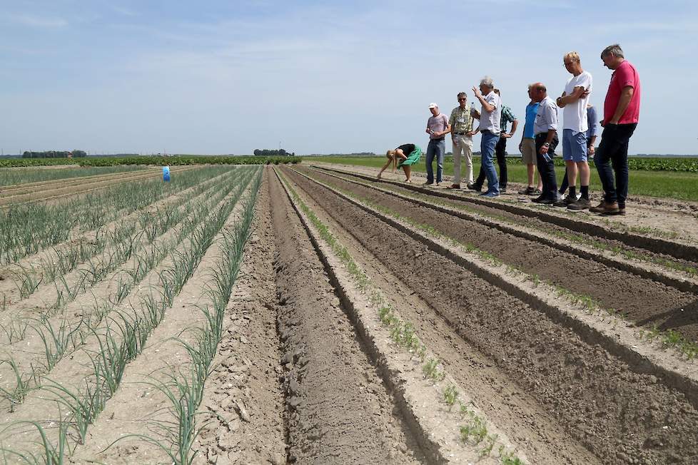 Focus on Farming bijeenkomst oktober 2019