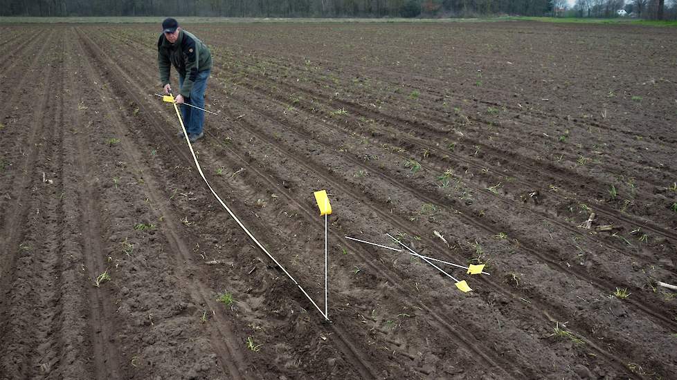 Om binnenkort de opkomst van de bieten te kunnen monitoren, legt Thur over een lengte van tien meter een telstrook aan. Indien nodig kan Thur het perceel bieten straks beregenen middels een gedeelde put met de achterbuurman. Nu zijn bieten niet meer met n