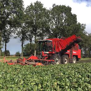 6 oktober: Vrijdag is 5 hectare van het perceel gerooid door Loonbedrijf Dermois uit Eerste Exloërmond.