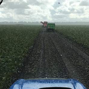 6 oktober: De omstandigheden waren niet ideaal, maar de bieten moesten de volgende dag klaarliggen. Daarom hebben we de keuze gemaakt om toch te gaan rooien.