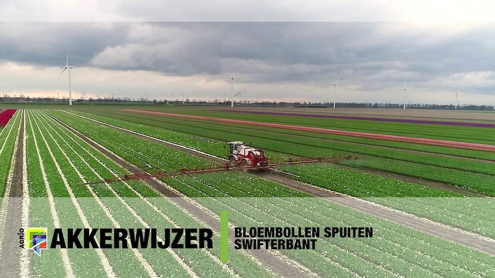 Bloembollen spuiten in Swifterbant