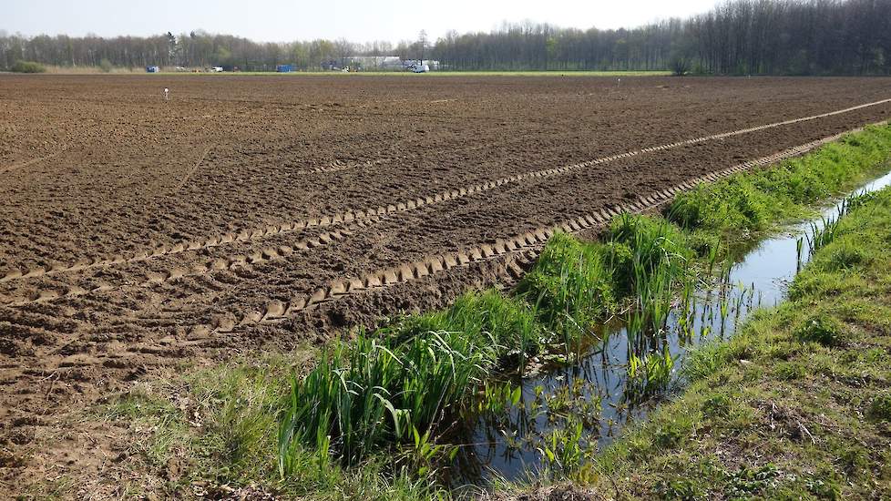 Het geploegde perceel ligt er qua vochtgehalte volgens de HAS-studenten en Dirk Beekmans duidelijk beter bij. Beekmans: „Door de droogte ligt dit perceel er nu mooier bij, maar NKG heeft meer potentie. Dan  houdt je langer de organische stof vast, je hebt