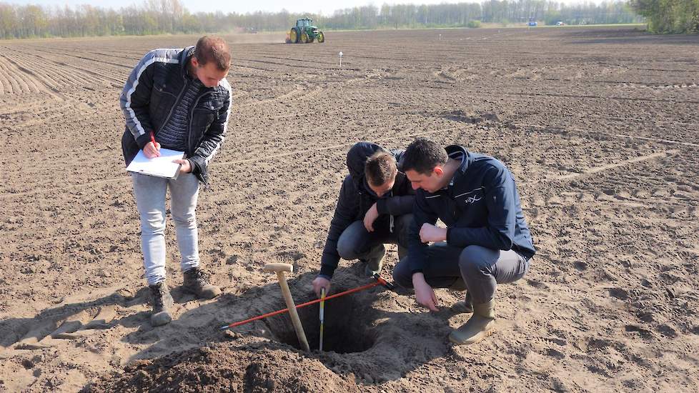 De HAS studenten Pol van de Vijver en Rick van Hooijdonk, bekijken samen met Dirk Beekmans een profielkuil. De gele zand op dit NKG-perceel zit op een diepte van ongeveer 55 centimeter. Terwijl de toplaag echt wel een buitje nodig heeft, is het vochtgehal