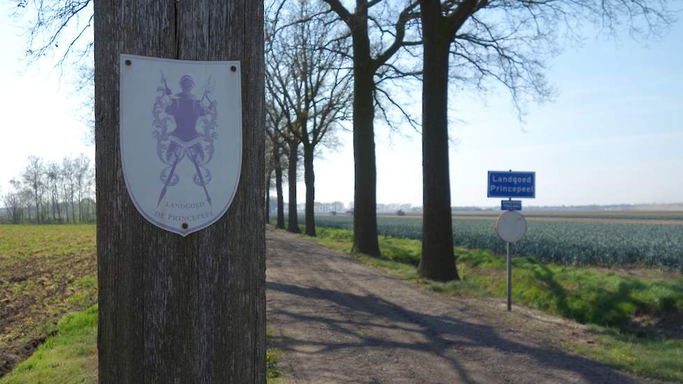 Landgoed Princepeel, behorende tot de gemeente Mill en Sint Hubert, is ontstaan als gevolg van ontginningsactiviteiten door de maatschappij van dezelfde naam. Het behoorde tot de Domeinen van de Staat der Nederlanden. In 1850 werd 146 hectare gekocht door
