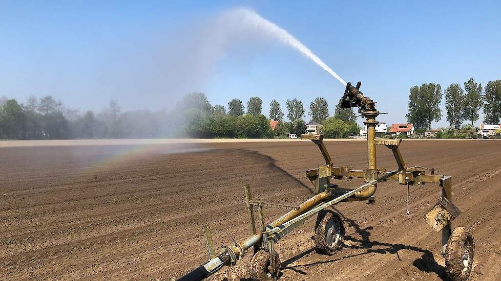 Beregenen om het zaad te laten kiemen