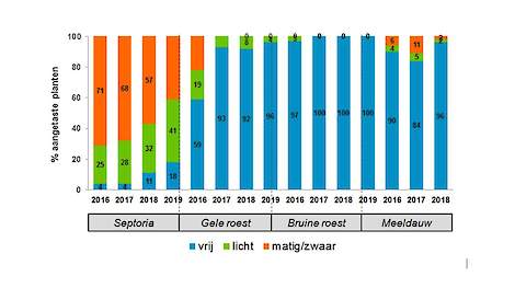 Bayer Ziektenmonitoring wintertarwe 2019. Gemiddelde ziektendruk (week 16)