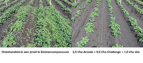 Proef in Emmercompascuum