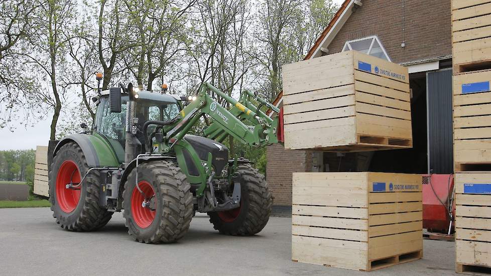 Op de bedrijfslocatie aan de Kleiweg in Marknesse haalt medewerker Thijs van der Tol het pootgoed op om naar het perceel te brengen en vanuit de palletbox de pootmachine te vullen. Ko Scholtens:  „Mijn vader is vanuit Groningen hier na de oorlog als pioni