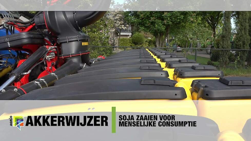 Soja zaaien voor menselijke consumptie