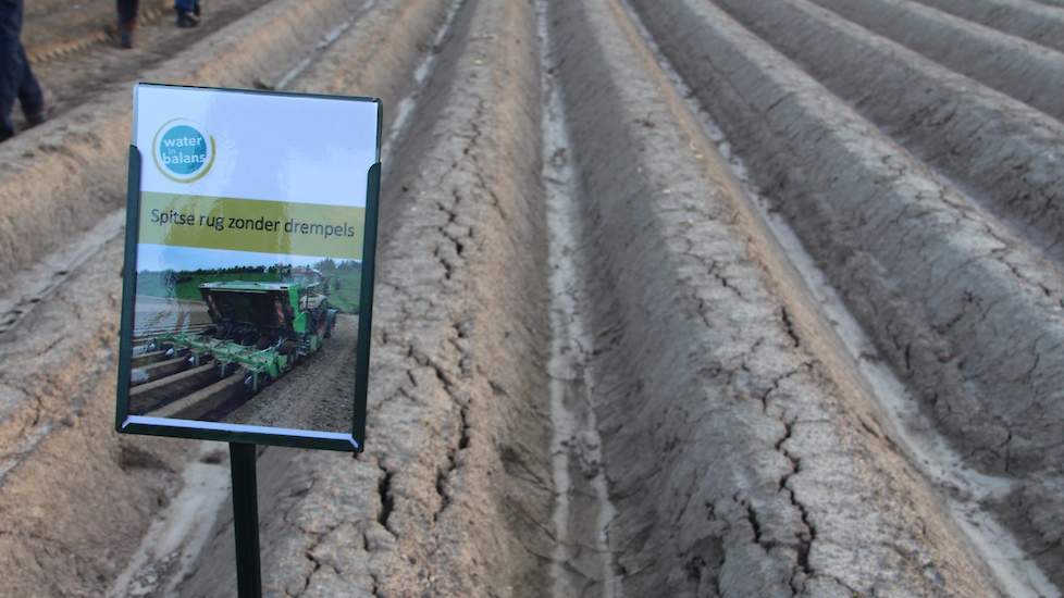 De Fontane aardappelen werden op 3 mei gepoot. Binnen 24 uur kreeg het perceel 15 mm regen te verwerken. Na deze bui zijn de verschillen optisch al duidelijk zichtbaar. In het systeem met spitse rug waar zonder ‘drempelmaker’ is gewerkt is duidelijk zicht