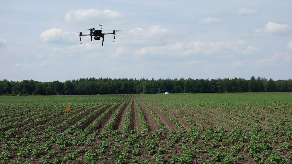 Gewasmonitoring vanuit de lucht en het maken van taakkaarten kan volgens Databoerin Nicole Bartelds door bijbemesting op basis van dronebeelden tot 10 procent meeropbrengst leiden.
