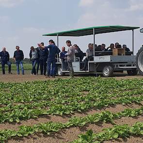 Bedrijfsleider van Proefbedrijf Westmaas Marcel Tramper toont naar aanleiding van de discussie over stengeldichtheid een aardappelproef waarbij het gewenste aantal stengels voor de hoogste potentiële opbrengst gerealiseerd is. Berekend vanuit het aantal k