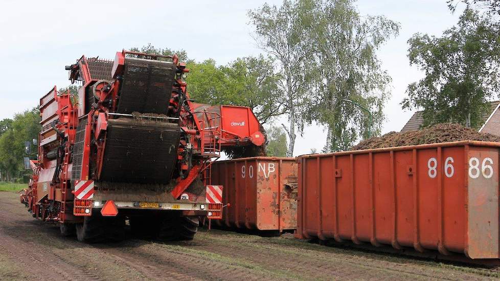 Berkes lost de peen in containers. Deze gaan naar de fabriek in Helmond waar ze direct worden verwerkt.