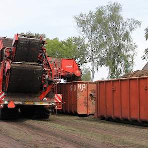 Berkes lost de peen in containers. Deze gaan naar de fabriek in Helmond waar ze direct worden verwerkt.