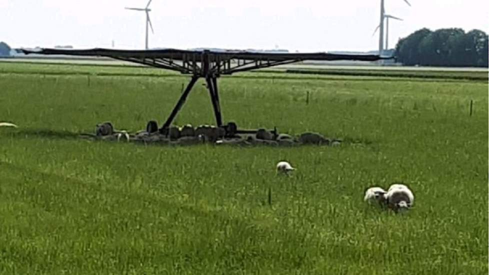 Akkerbouwer Karin Bergmans kwam dit tafereel tegen in op Linkedin en zette deze op Twitter: ,,Deze parasol met een diameter van 12 m. zag ik voorbijkomen. Mooie oplossing! Schaduw voor de schapen #geenhittestress"