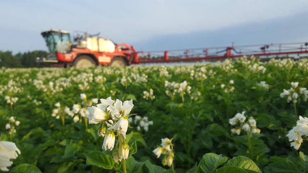 Profyto DSD loonwerk doet ook mee aan de actie #geenhittestress: ,,Op tijd beginnen met phytophtora- en luisestrijding nu de aardappels nog #geenhittestress hebben. Deze dagen 's ochtends vroeg wat spuiten en de rest maar in de avond. #altijdlastigditweer