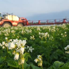 Profyto DSD loonwerk doet ook mee aan de actie #geenhittestress: ,,Op tijd beginnen met phytophtora- en luisestrijding nu de aardappels nog #geenhittestress hebben. Deze dagen 's ochtends vroeg wat spuiten en de rest maar in de avond. #altijdlastigditweer