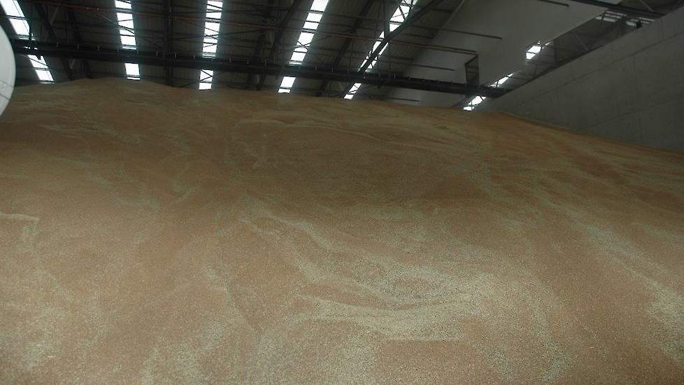Door de handelsdeal zal goedkope tarwe, suiker en ethanol mogelijk de Europese markt overspoelen.