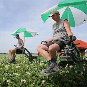 De pootaardappelen zijn twee weken geleden voor het eerst gekeurd. Op het totaal van ongeveer 64 hectare pootgoed is 1 viruszieke plant gevonden tijdens deze keuring. Eising weet dat de eerste keuring een meer oriënterende keuring, en dat bij de latere ke