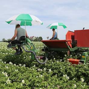 De stammen van het eigen bedrijf laat Eising vrijwillig onderzoeken. „We planten pas uit als het goed is. Dat is een soort zekerheid voor ons.”