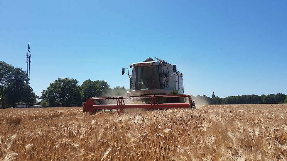 Emmens dorst hier het ras Pixel. De akkerbouwer schat de opbrengst voorzichtig op 8,5 ton per hectare. De oogst wordt af land geleverd aan Agrifirm. In totaal werd 5,7 hectare gedorst.