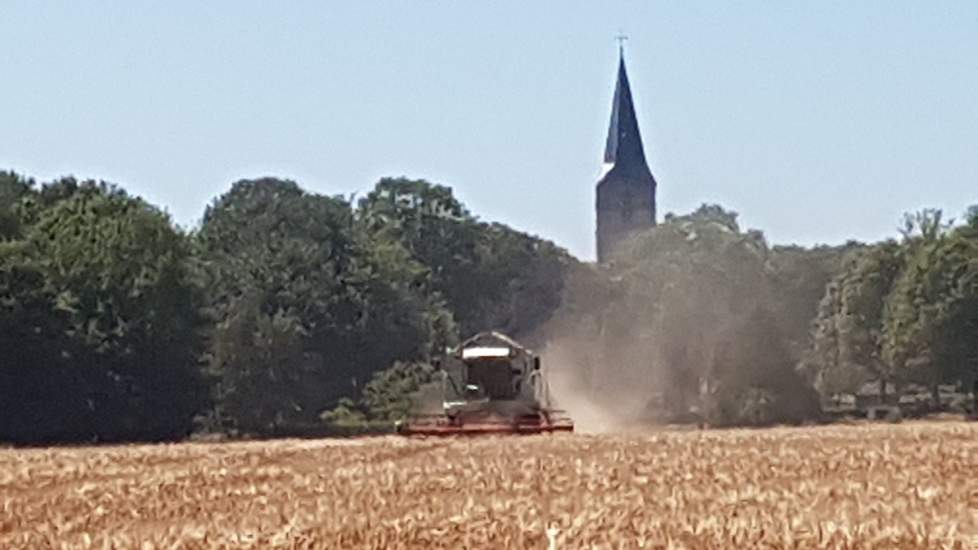Deze week werd in Nederland een voorzichtige start gegeven aan de oogst van de wintergerst. In verschillende delen van het land verschenen de eerste combines op het land. In Europa zijn de opbrengsten en kwaliteit van tarwe en gerst naar verwachting goed.