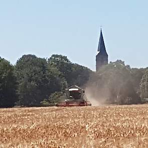 Deze week werd in Nederland een voorzichtige start gegeven aan de oogst van de wintergerst. In verschillende delen van het land verschenen de eerste combines op het land. In Europa zijn de opbrengsten en kwaliteit van tarwe en gerst naar verwachting goed.