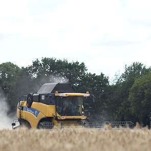 Het is de eerste keer dat Hazelaar wintergerst teelt. „We hadden gedacht hiermee met de oogst mooi voor de droogte aan te zijn. Maar dat pakte anders uit.”