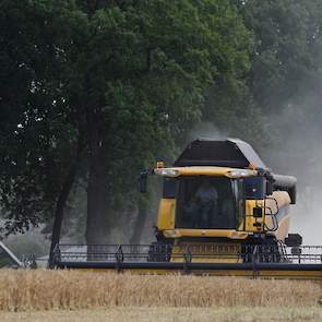 De opbrengst kwam uit op ongeveer 7 ton per hectare. Akkerbouwer Geert Hazelaar: „We hadden gehoopt op meer. Maar gezien de droogte en het feit dat we niet konden beregenen valt het ons niet tegen.”