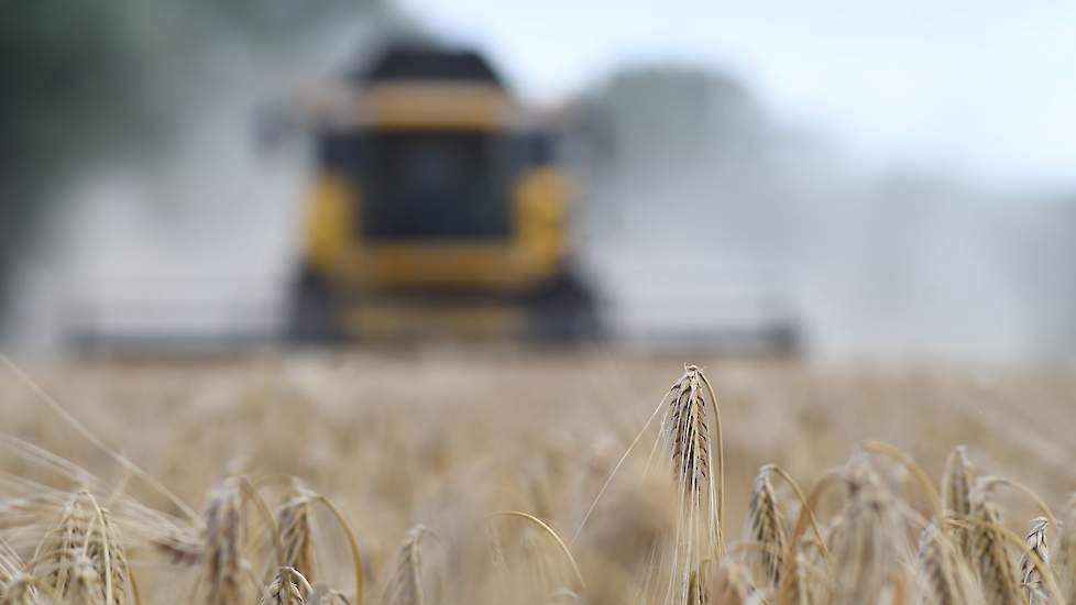 Hazelaar teelt dit jaar in totaal 6 hectare wintergerst.