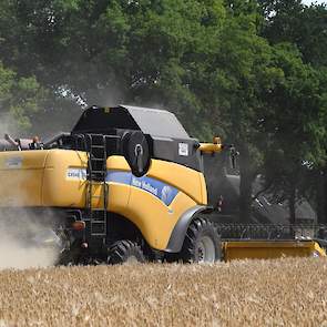 Wintergerst is de afgelopen jaren sterk in opkomst. Dit komt onder meer door nieuwe rassen met hogere opbrengsten, lagere teeltkosten dan wintertarwe en oogstspreiding. Daarnaast telt wintergerst mee als tweede of derde gewas binnen de vergroeningseisen v