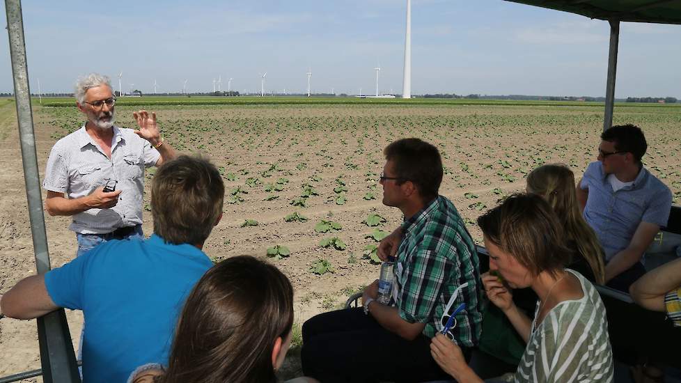 In dit veld met pompoenen wordt gekeken naar de effecten van niet kerende grondbewerking in rotaties met rooivruchten. Dit onderzoek loopt al tien jaar. Voorlopige conclusies: de grond is weerbaarder tegen wateroverlast en -tekorten. Ook de organische sto