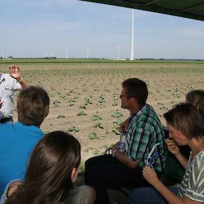 In dit veld met pompoenen wordt gekeken naar de effecten van niet kerende grondbewerking in rotaties met rooivruchten. Dit onderzoek loopt al tien jaar. Voorlopige conclusies: de grond is weerbaarder tegen wateroverlast en -tekorten. Ook de organische sto