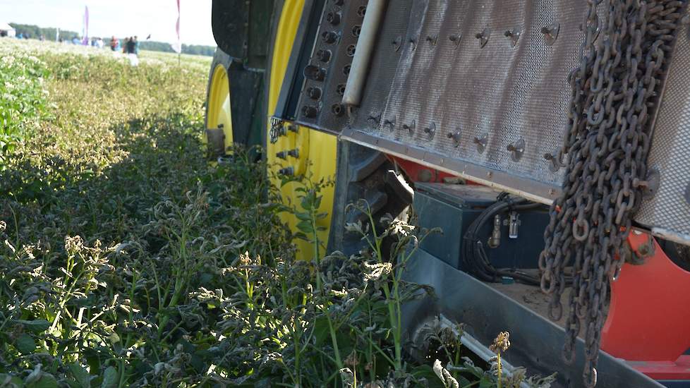 Het kost ongeveer 60 euro per hectare aan gas om het loof te branden. Het advies is om het gewas na het branden te klappen en nog een keer branden. Het nadeel van een brander is dat deze de eerste keer goed ingesteld moet worden, is de brander eenmaal hee