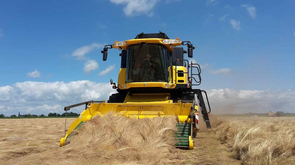 Loonbedrijf Vogelaar dorste vorige week het graszaad (ras Nikky) voor akkerbouwer Jozef Buijsse uit Kuitaart (ZL). Hij heeft net de laatste kisten afgeleverd bij DLF. De opbrengst was nog niet gewogen, maar hij schat deze op zo’n 1.500 tot 1.600 kilo per