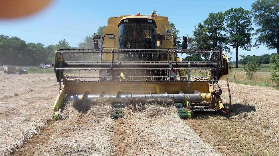 Bij akkerbouwer en melkveehouder Gerbert Oonk uit Neede (GD) kwam het engels raaigras (Elgat) snel van het land. Twee dagen na het zwad maaien is het gras gedorst. De kwaliteit was heel goed, vertelt Oonk. De opbrengst viel helaas als gevolg van de droogt