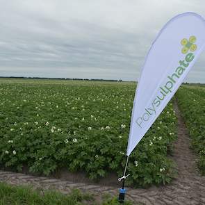 Agriant en CropSolutions onderzoeken wat de mogelijke effecten zijn op de bewaarbaarheid van zetmeelaardappelen. Calcium heeft in principe een positief effect op het beperken van bewaarverliezen, het helpt tegen interne gebreken, zegt teeltadviseur Johan