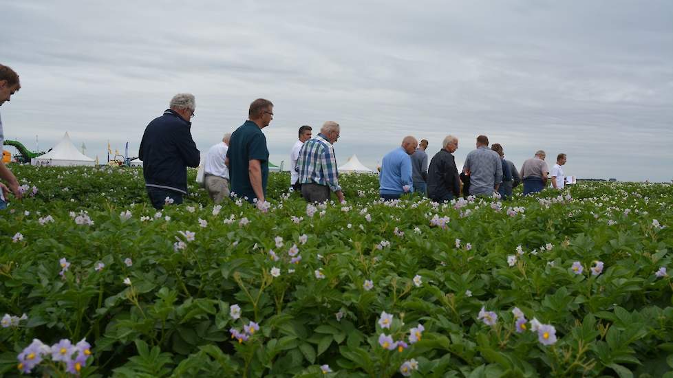 Daarnaast liggen de proeven op het gebied van stikstof en voorbehandeling. Deze proeven worden ieder jaar uitgevoerd.