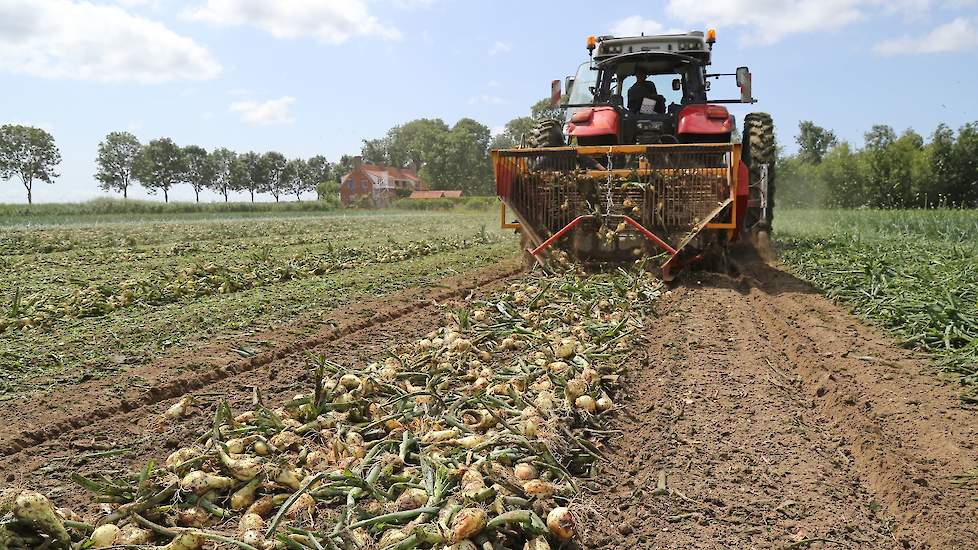 Van Strien was in 1997 omgeschakeld naar biologisch, sinds 2004 teelt hij biologisch-dynamisch.