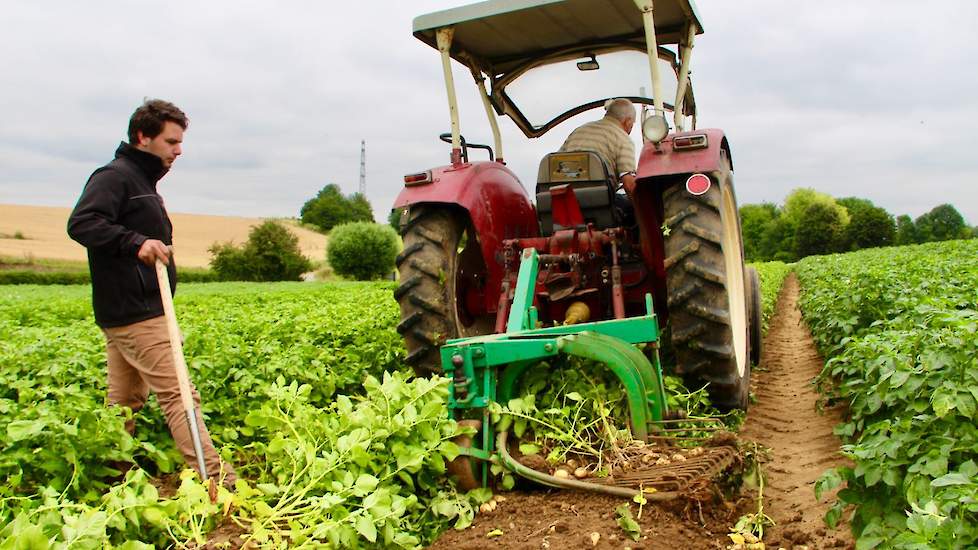 Voor de oogst beschikt Souren over een éénrijige aardappelrooier. Ondanks dat de zware lössgrond goed verkruimeld, heeft de rooier veel moeite om voldoende diep de grond in te komen.