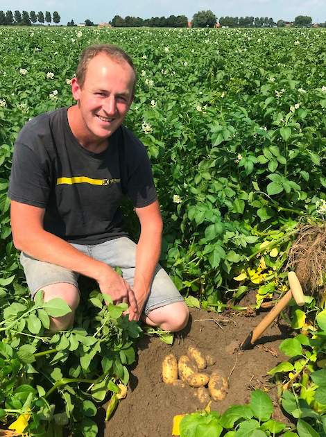 Karsjan van Kempen bij een perceel aardappelen, geteeld na TerraLife® SolaRigol TR