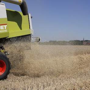 Barry Sommers oogst met de combine van loonbedrijf Gebroeders van Huet uit Duiven 2,3 hectare tarwe.